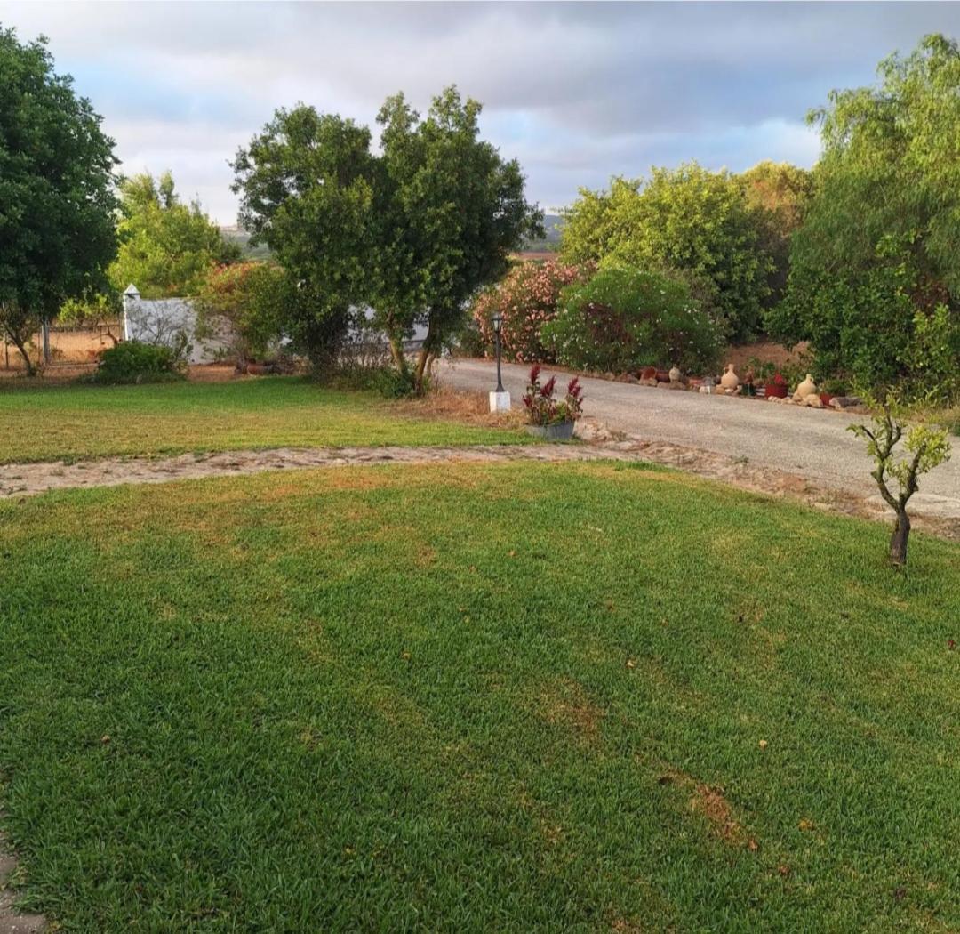 Casa Rural El Nino Santamaria , Con Piscina Y Wifi ベヘール・デ・ラ・フロンテーラ エクステリア 写真