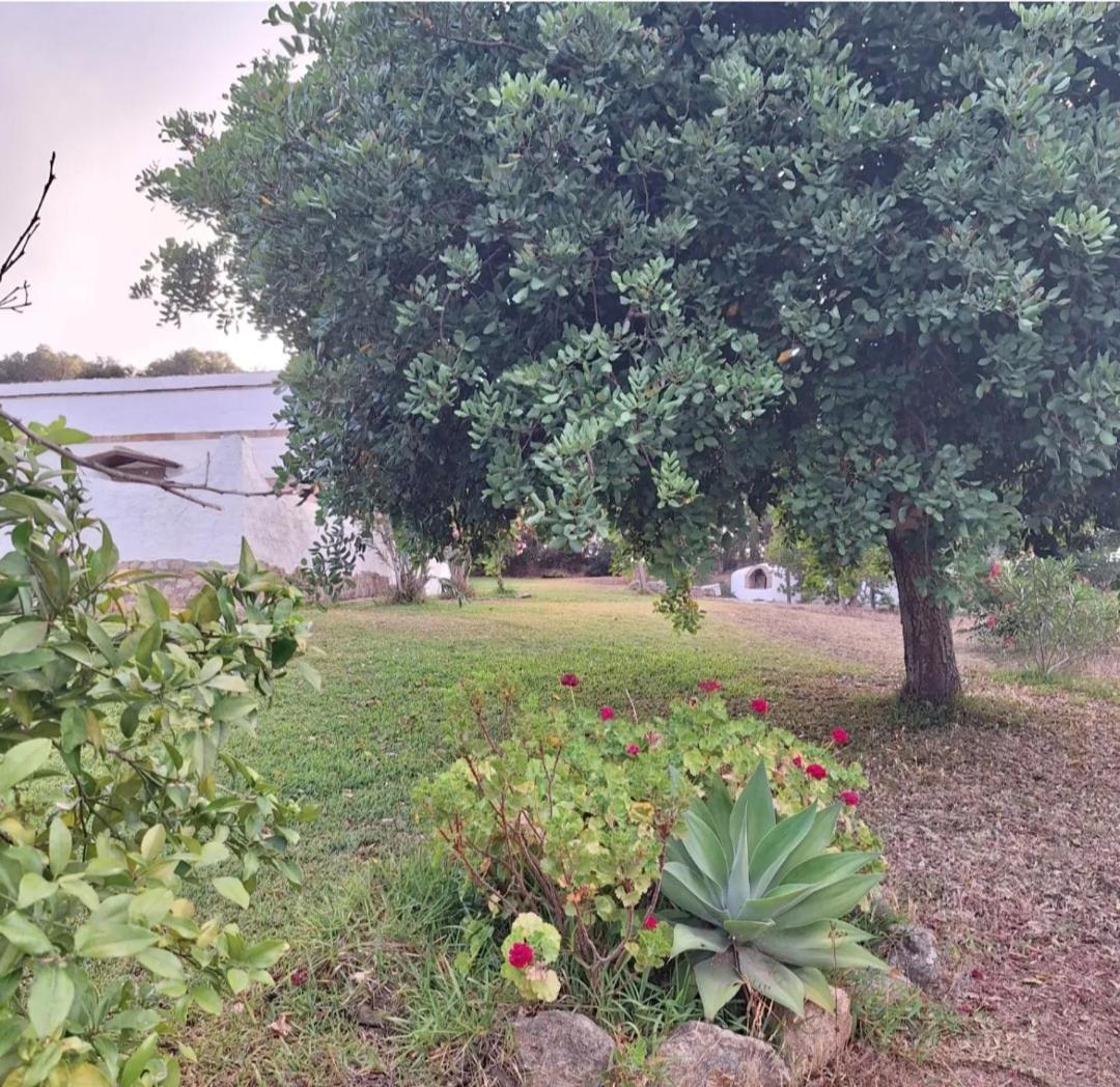 Casa Rural El Nino Santamaria , Con Piscina Y Wifi ベヘール・デ・ラ・フロンテーラ エクステリア 写真